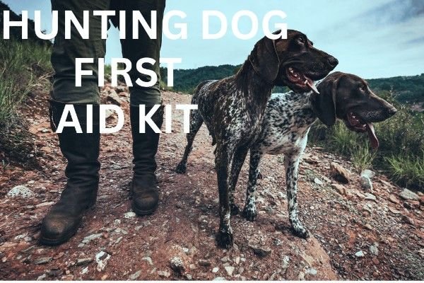 hunting dog first aid kits