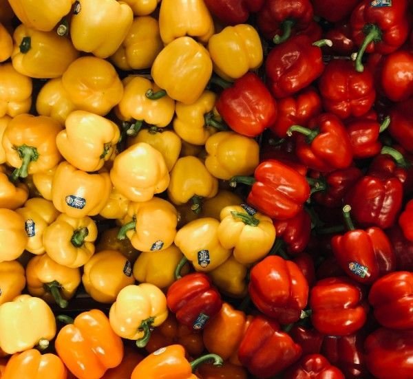 Chime Peppers vegetables for rabbits