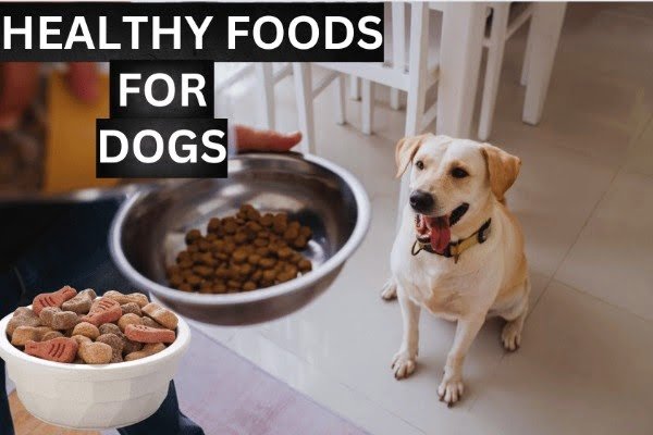 healthy food for dogs to eat